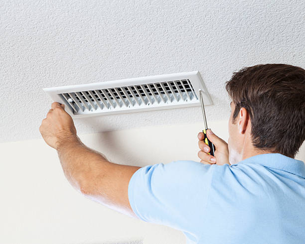 Reliable Robert Lee, TX Mold Removal Solutions